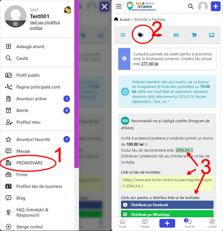 Afisarea pe mobil a contului